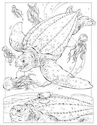 Coloring pages for kids national geographic animals coloring pages. Coloring Book Animals J To Z