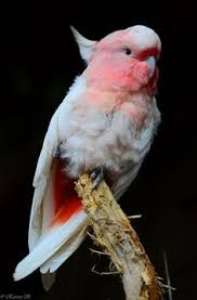 edwina etheridge (edwinaetheridgew)