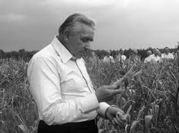 Andrzej lepper zmarł w 2011 roku. Lepper Buszowal W Kukurydzy Pod Tomaszowem Piotrkow Trybunalski Nasze Miasto
