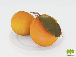 Oranges 3d Model Oranges Model Logo Design Inspiration Vintage Oranges 3d Model