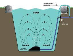 Pin On Koi Pond Expansion Ideas