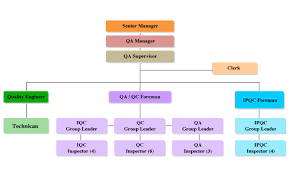 Quality Management Organization Term Paper Example