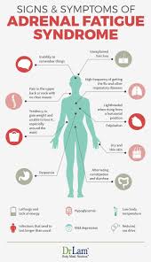 Adrenal Fatigue Syndrome Chronic Fatigue Syndrome Symptoms Adrenal Fatigue Adrenal Fatigue Symptoms