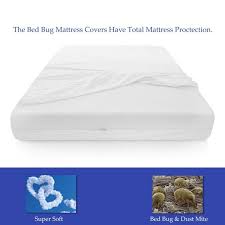 If you already have bed bugs, the best solution is to utilize a bed bug mattress cover. Onetan Mattress Or Box Spring Protector Covers Bed Bug Proof Water Proof Fits Sleep 6 9 Inch White Overstock 10192426