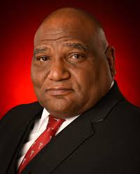 Professional Trainers