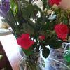 Flower shop jacksonville florist fl provides the best flower delivery by spencer jacksonville florist fl. Top 1 031 Avas Flowers Reviews Page 52