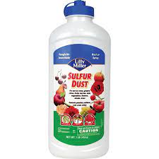 Efficiently water low branch trees, shrubs or evergreens up to 6 in caliper. Watering Bag Plant Care At Lowes Com