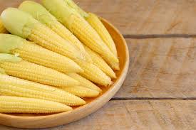 Check spelling or type a new query. How To Grow Baby Corn Top Tips