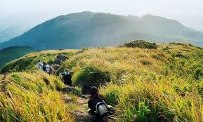 Dulunya, kebun teh medini menjadi jalur pendakian di gunung ungaran, tapi pada tahun 2017, jalur pendakian dialihkan. 10 Gambar Gunung Ungaran Wisata Semarang Pernah Meletus Misteri Mitos Angker Jejakpiknik Com