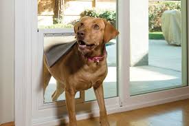 Dogs and cats can use sliding door inserts. Sliding Glass Door With Dog Door Built In Yes Vinyl Windows And Doors