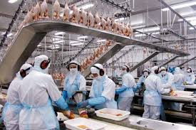 Foi retomada nesta semana a parceria entre a agência do trabalhador e a empresa seara jbs para divulgação de vagas e encaminhamentos de trabalhadores com os perfis exigidos. Arabia Saudita Suspende Importacoes De Sete Unidades Da Jbs E Outros Quatro Frigorificos Brasileiros Portal Via Brasil