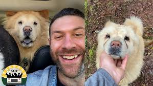 Roger The Great Dane's Story