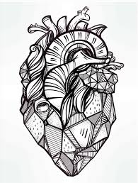 Find thousands of free and printable coloring pages and books on coloringpages.org! Heart Anatomy Coloring Worksheet Template Library
