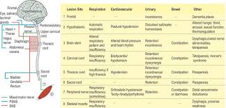 Image result for Autonomic Dysfunction