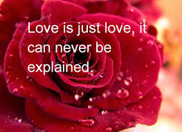 Beautiful quotes romantic flowers for her. Beautiful Love Quotes For Her With Rose Flower Images