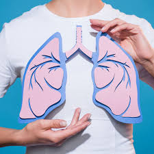 Burke, in the news, in american scientist, volume 101, number 3. National Respiratory Care Week 2019 When It Is And How To Observe
