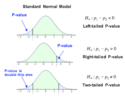 The p value is the evidence against a null hypothesis. Hypothesis Test For Difference In Two Population Proportions 4 Of 6 Concepts In Statistics