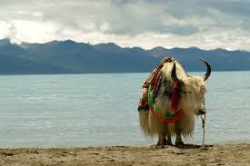 Het wordt eveneens begrensd door de noordelijke ijszee en de atlantische oceaan.het telde midden 2019 ongeveer 746 miljoen inwoners: Tibet Alle Tips Reviews En Reizen Vind Je Op Azie Nl