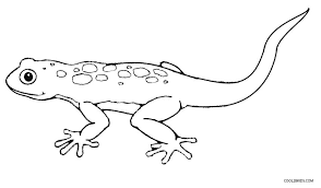 If you are interested in geckos or just want to celebrate your love for them, print all of our coloring pages for free and make it a gecko coloring day. Printable Lizard Coloring Pages For Kids