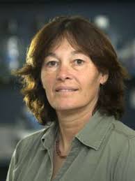 Carla Koehler, PhD