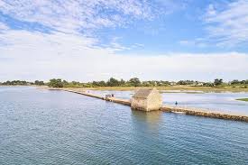 Vous La Voyez Cette Drole De Petite Maison Isolee Au Milieu D Une Petite Route En Pierre De L Ile D Arz C Est Un Moulin Un Moul In 2020 Outdoor Outdoor Decor