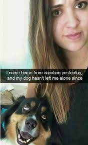 He S Happy Ok Funny Animal Pictures Funny Dog Memes Cute Animals