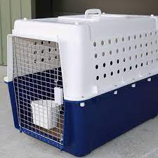 For international flights, it is allow to transports pets from monday through friday. International Pet Transport Animal Travel Agency For The Vital Details