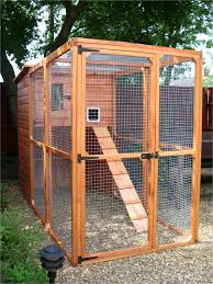 Bordetella is a highly contagious bacterium; Outdoor Cat Enclosures For Sale Ideas On Foter