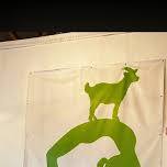 Goat Yoga Nashville- Awesome August