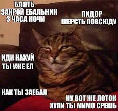 съешь ещё этих мягких французских булок да выпей чаю Pin By Andy Luc On Sesh Eshyo Etih Myagkih Francuzskih Bulok Da Vypej Zhe Chayu Funny Hom Animals