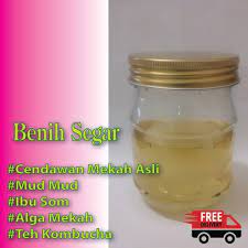 Ada seribu satu khasiat cendawan mekah ni yang sidang pembaca kena tahu. Cendawan Mekah Benih Segar Asli Shopee Malaysia