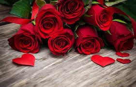 Flower 2 roses bunga mawar steemit bunga mawar potong merah kondisi segar grosirtanaman com rumpun pohon bunga mawar gambar unduh gambar gambar gratis pixabay Makna Di Sebalik Warna Bunga Ros Aiskrim Potong