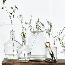 Une Accumilation De Plantes Fines Idee Deco Nature Vases En Verre Transparent Tendance Deco