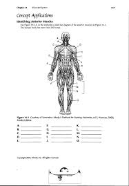 Human Anatomy Labeling Worksheets Human Body Muscle Diagram Worksheet Human Anatomy Diagram Human Body Worksheets Human Body Muscles Worksheet Template