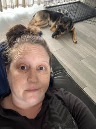 Introducing Dutch Shepherd x Malinois mix Anubis