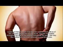 Pin On Incontinence Other Bladder Issues