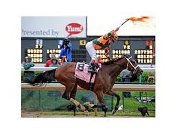 Withdrawal from one's position or occupation or from active working life. Champion Proud Spell Retired Bloodhorse