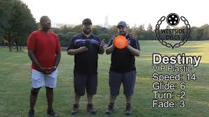 Westside Discs Destiny Review