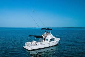 We did not find results for: Private Boating Adventure For Snorkeling Or Fishing In Nassau 31ft Boat 2021 New Providence Island