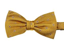 Pre Tied Silk Gold Paisley Bow Tie Elegant Extras