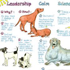 dog chart liz cook charts