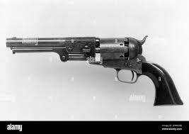 Image result for Sophia White 1989 Colt