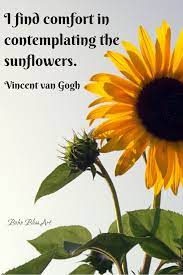 Van gogh quotes about flowers. I Find Comfort In Comtemplating The Sunflowers Quote By Vincent Van Gogh Vincentvangogh Vangogh S Vincent Van Gogh Quotes Van Gogh Quotes Sunflower Quotes