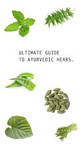 Ultimate Guide To Ayurvedic Herbs Ayurvedic Herbs Herbs Ayurvedic