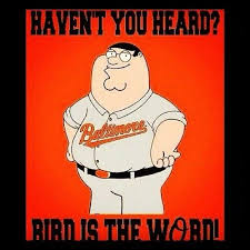 Bird Bird Bird Bird Is The Word Orioles Baltimore Orioles Baseball Orioles Baseball League Banners