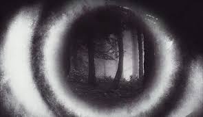 The biggest and best books to read this fall. A Fall Harvest Of Terrifying New Books For Horror Fans