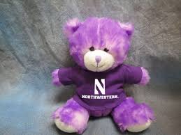 Pin On Northwestern University Wildcats