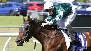 Dual Oaks heroine Ohope Wins heads Waller's Caulfield Cup contingent