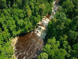 Pulau yang dihiasi oleh air jernih kebiruan bak kristal ini pilihan terbaik buat pencinta aktiviti air dan kehidupan marin. 10 Lokasi Eco Tourism Yang Menarik