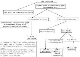 diagnostic flow chart in patients with hypermethioninemia